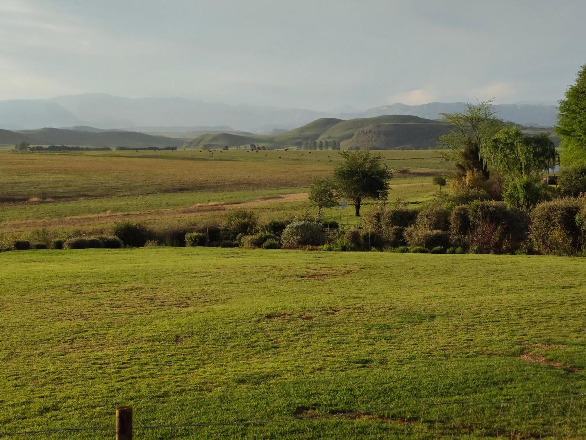 Sani Pass View Cottage 히머빌 외부 사진